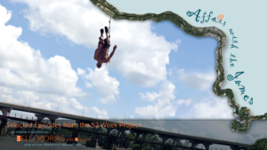postcard layout by shelli
